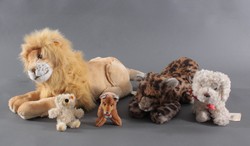 700.20: Teddies